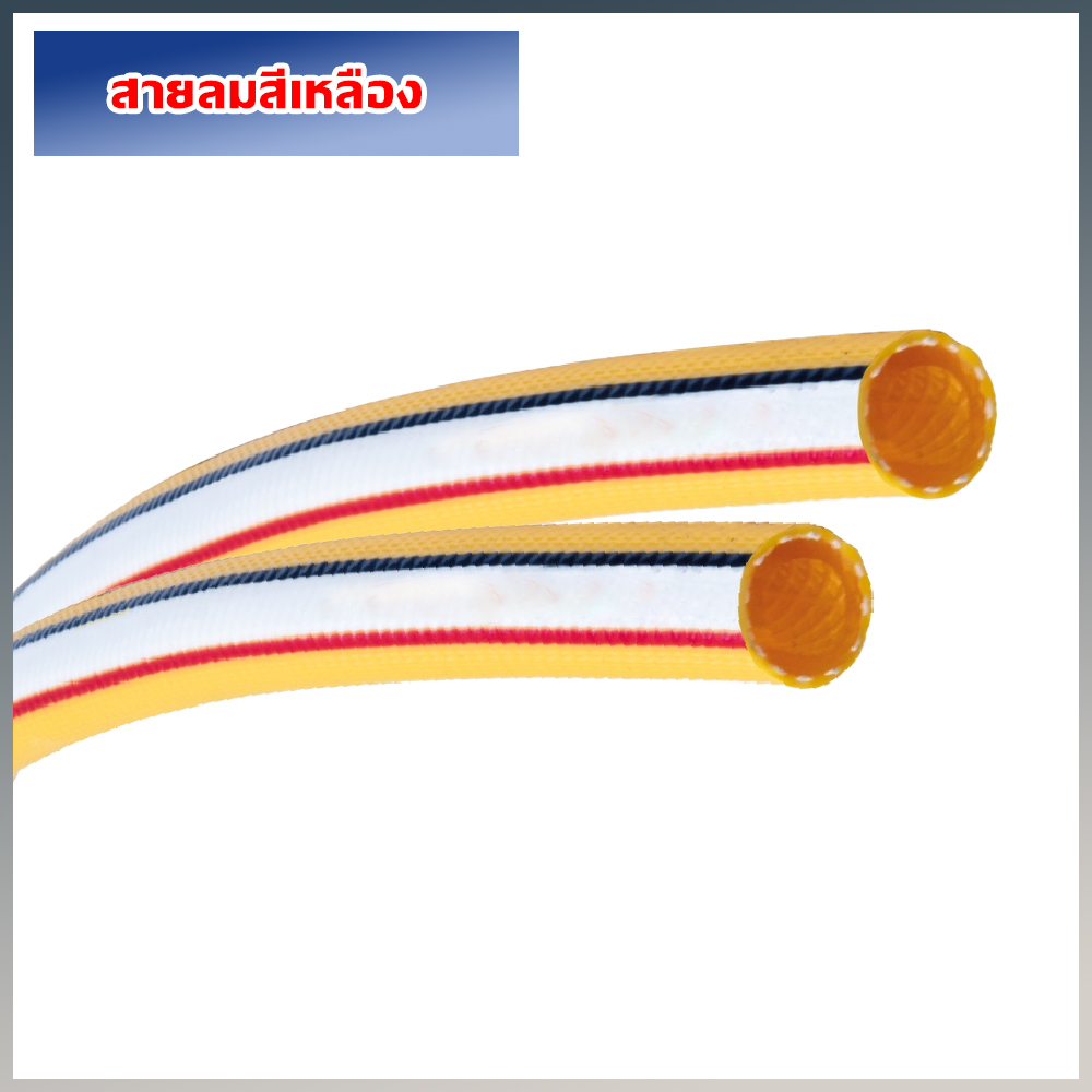 สายลมสีเหลือง